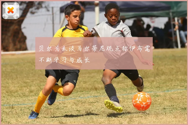 贝尔戈米谈马尔蒂尼观点称伊布需不断学习与成长